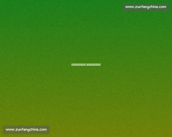 五人制足球热潮涌青城 绿茵活力点亮呼和浩特