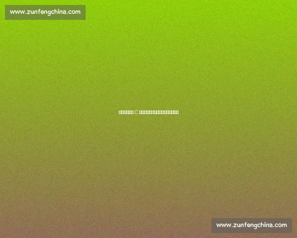 拥抱梅西、敲 C 罗房门：足坛粉丝的疯狂行为大起底