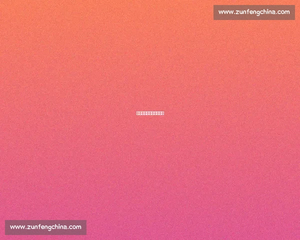 永不言弃：下一球的奇迹