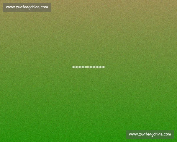 女篮全力以赴挑战法国 强强对决激烈角逐精彩纷呈