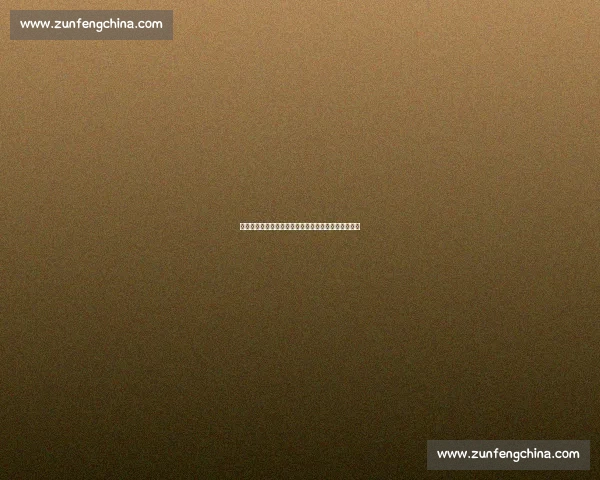 猛龙迎战独行侠,关键对决背后的策略与球星较量解析 猛龙迎战独行侠,关键对决背后的策略与球星较量解析